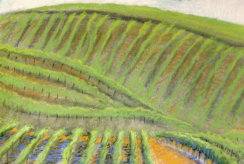 pastel of hills with rows of vineyards
