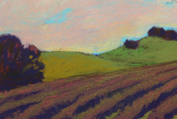 Pastel landscape of a vineyard at sunset